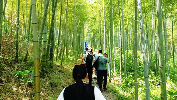 上海滬工閥門廠2024安吉章里古道戶外徒步活動（圖3）